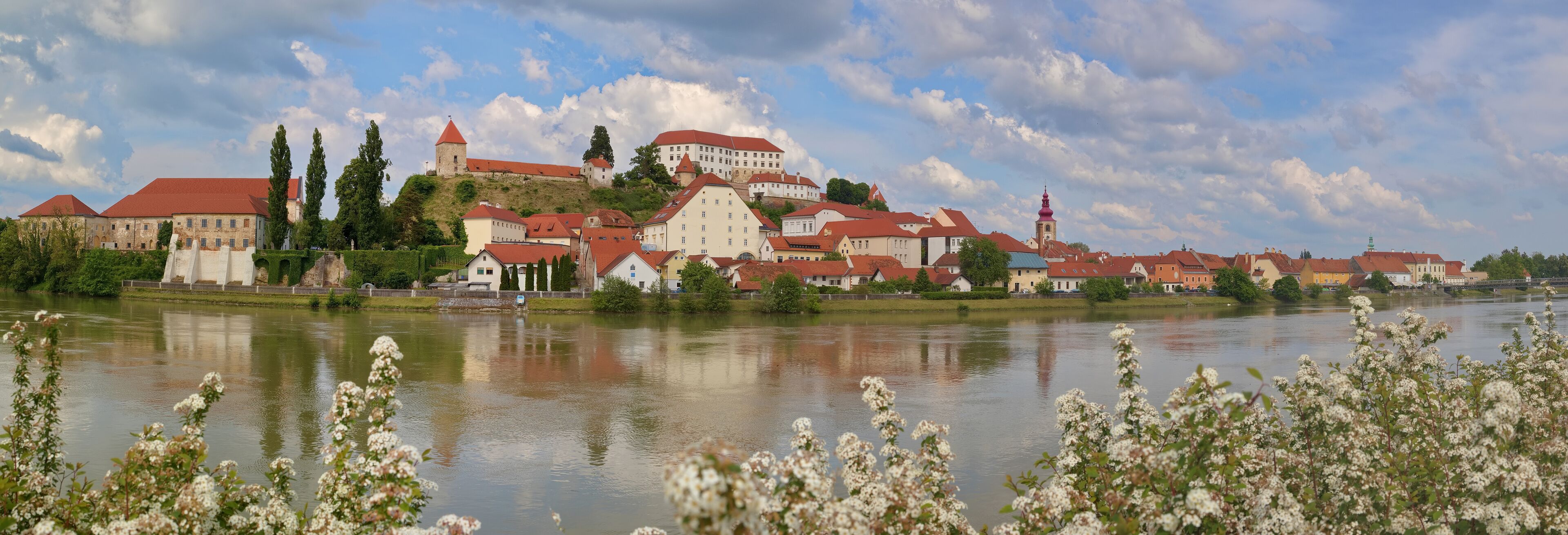 Panorama von Ptuj (Pettau)