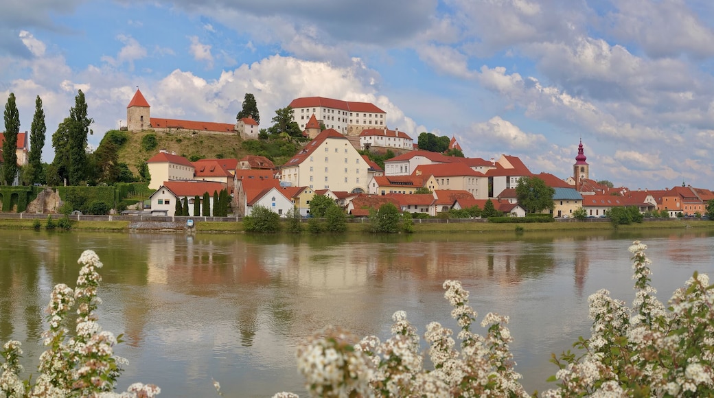 Ptuj