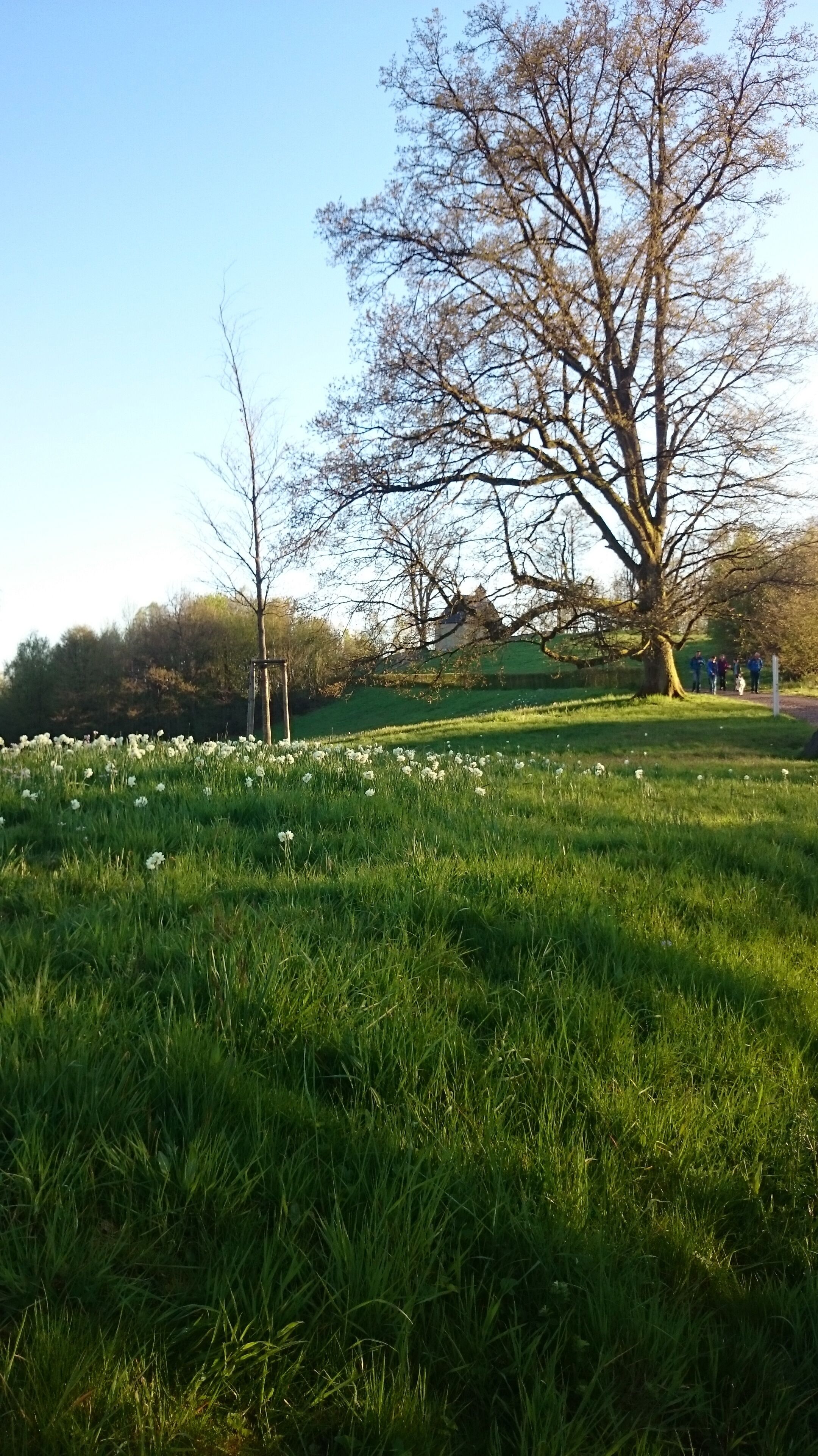 Hofgut Imsbach (Tholey)