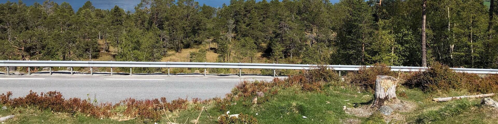 Enjoying the sun today! #norway #roadtrip