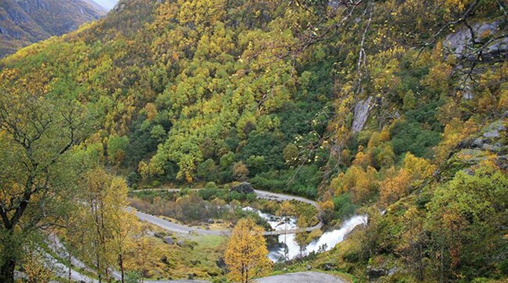The way up to see the Briksdals Glacier in Stryn.