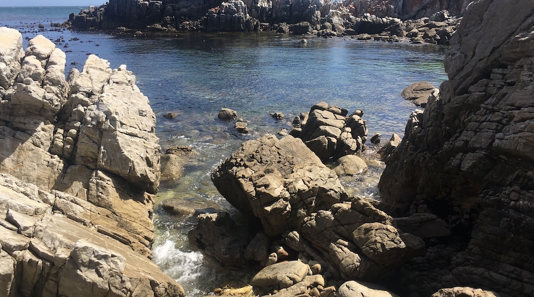 Gansbaai is a fishing town and a popular spot for cage diving with great white sharks. The crystal clear water and rocky coastline make for excellent snorkeling and scuba diving, as well.
