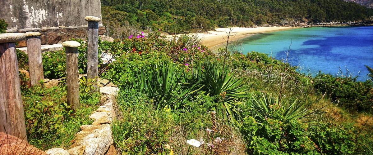 A coastal landscape with a wooden building, lush greenery, and a clear blue sea.