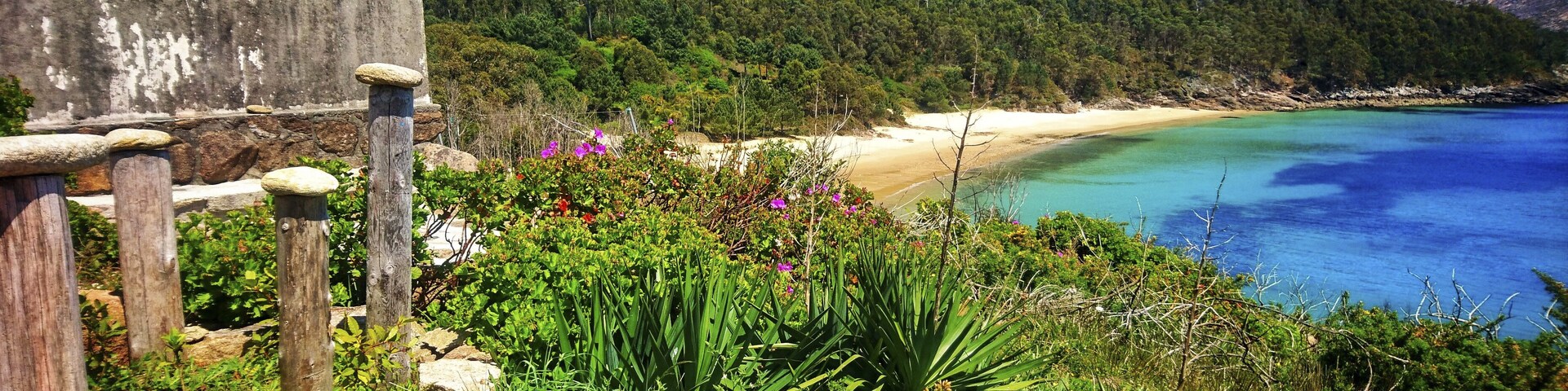A coastal landscape with a wooden building, lush greenery, and a clear blue sea.