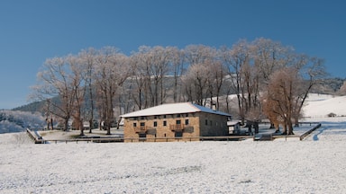 Caserio en Areatza, Bizkaia, Spain