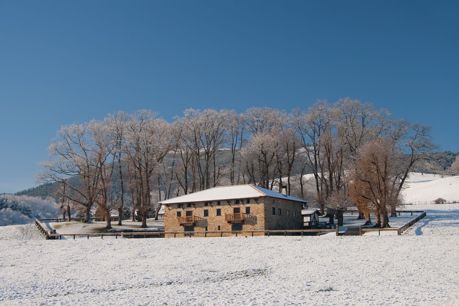 Caserio en Areatza, Bizkaia, Spain