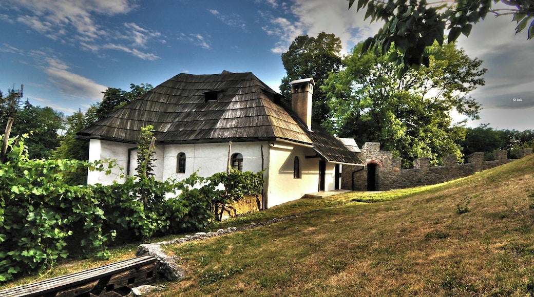 Zanimiva kočica tik pod Velenjskim gradom ...
#Velenje #Slovenia