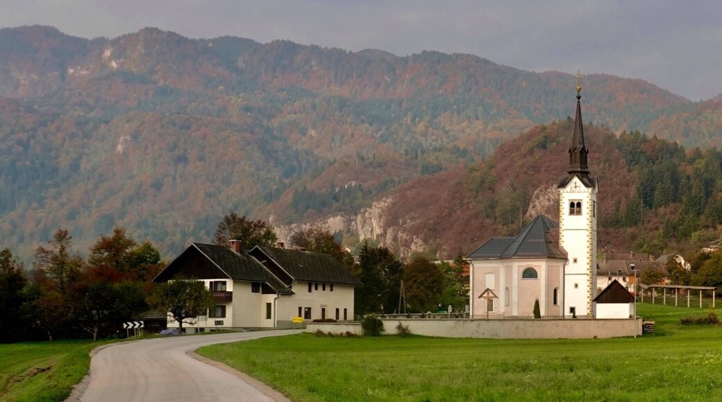 Beautiful autumn colours