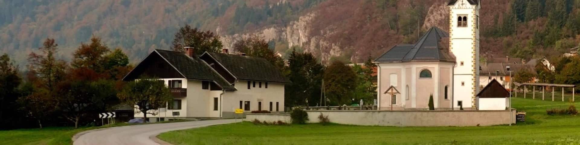 Beautiful autumn colours