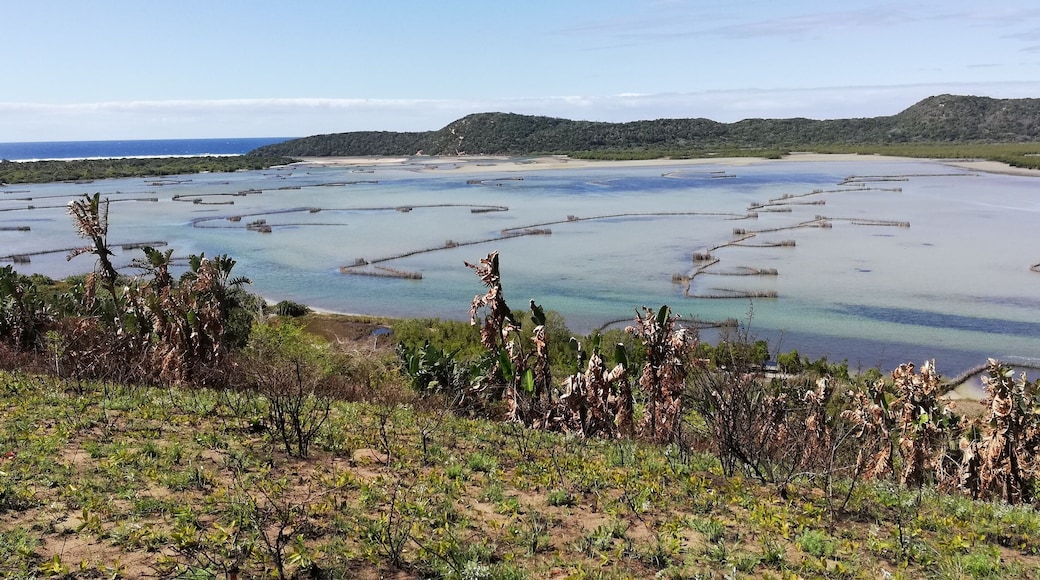 Kosi Bay Estuary!!
Clear waters, Thonga Fishkraals (+- 700years old passed down with in Thonga families) and perfect viewđșđ„
#travelislife #theplacetosee #theplacetobe #theplacetoexplore
#kosibaysouthafrica