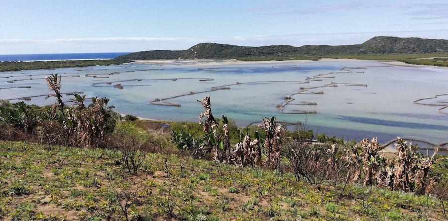 Kosi Bay Estuary!!
Clear waters, Thonga Fishkraals (+- 700years old passed down with in Thonga families) and perfect view🌺🥂
#travelislife #theplacetosee #theplacetobe #theplacetoexplore
#kosibaysouthafrica