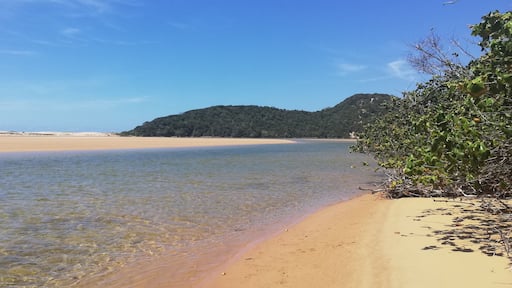 This is the Kosi Bay Mouth, here you can enjoy Hiking, Kayaking and Snorkeling to get to this beauty you need a 4x4 or you can book a transfer from your accommodation!!
#localsecret
#travelislife
#theplacetosee
#theplacetobe
#theplacetoexplore
#kosibaysouthafrica
#thekosiexplorer