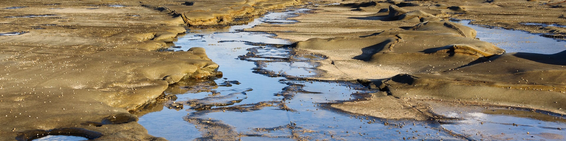 Rock platform at low tide in the Marengo Reefs Marine Sanctuary - Marengo, Victoria, Australia