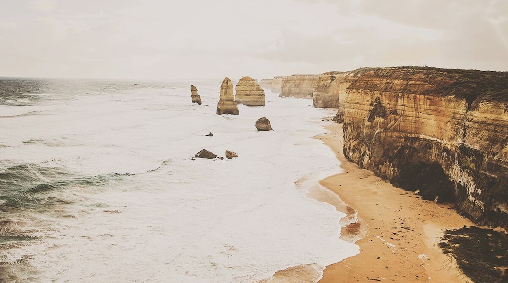 When I travelled in Australia I took a daytrip to The Great Ocean Road. It was an amazing experience. My only regret is that I only took a daytrip.
If I could do it all over again, I'd rent a car and drive it myself over a couple of days.