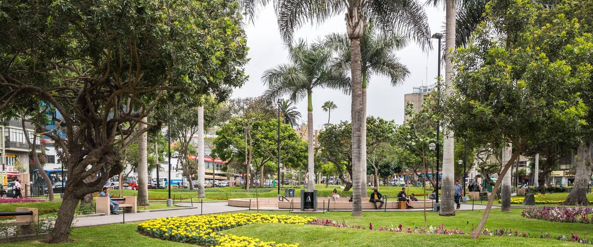 Colored flowers in Kennedy Park