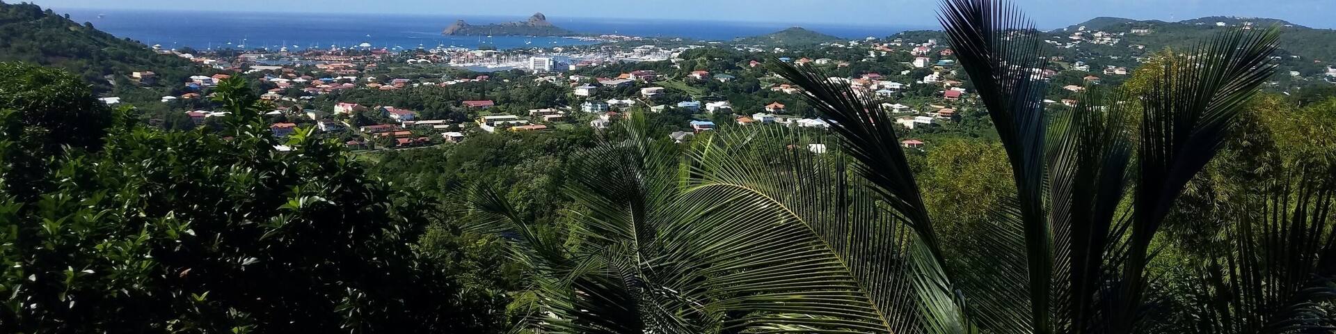 View from stony hill St. Lucia