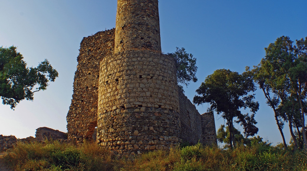 Castell de Sant Iscle (Vidreres)