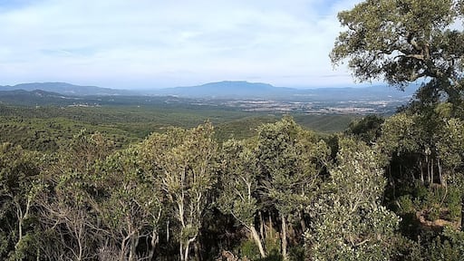 Running. Peaceful place. Perfect.