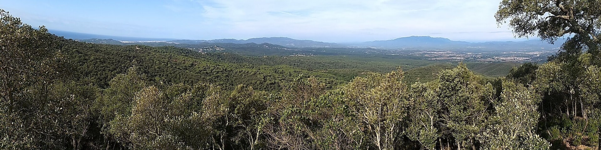 Running. Peaceful place. Perfect.