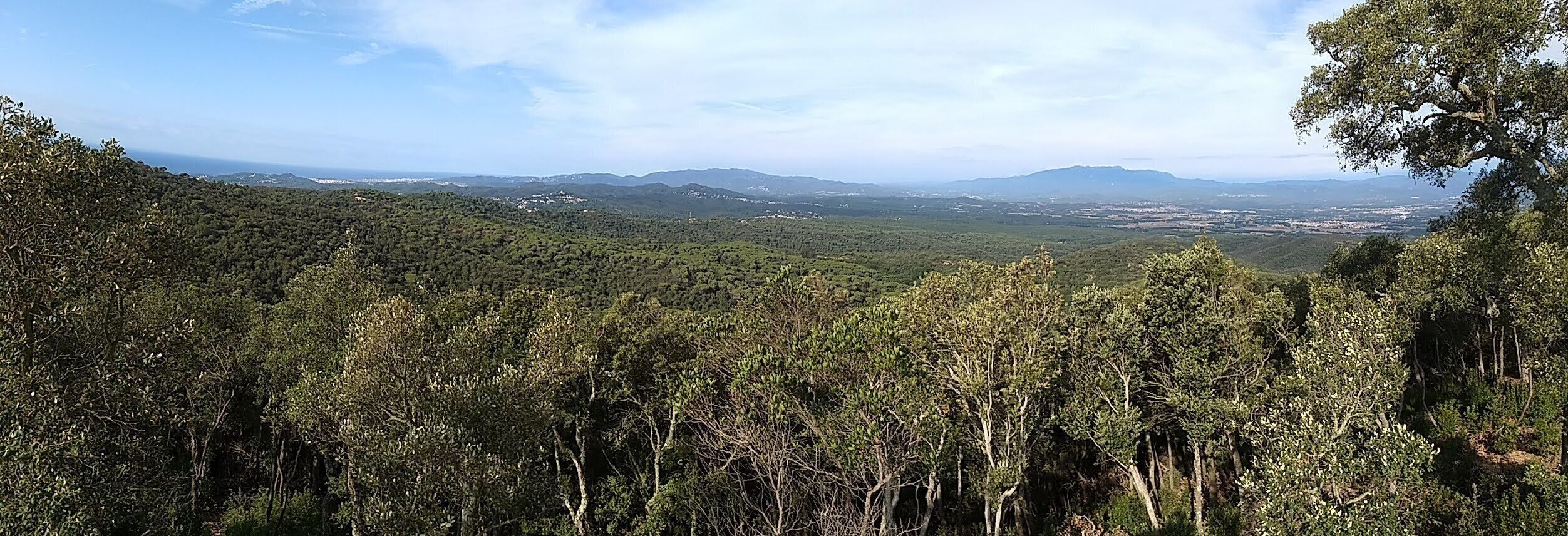 A mountainous landscape with dense forests and a distant view of a valley.