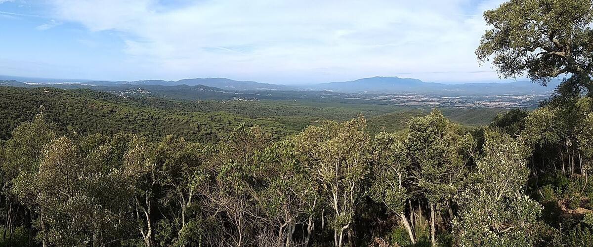 A mountainous landscape with dense forests and a distant view of a valley.