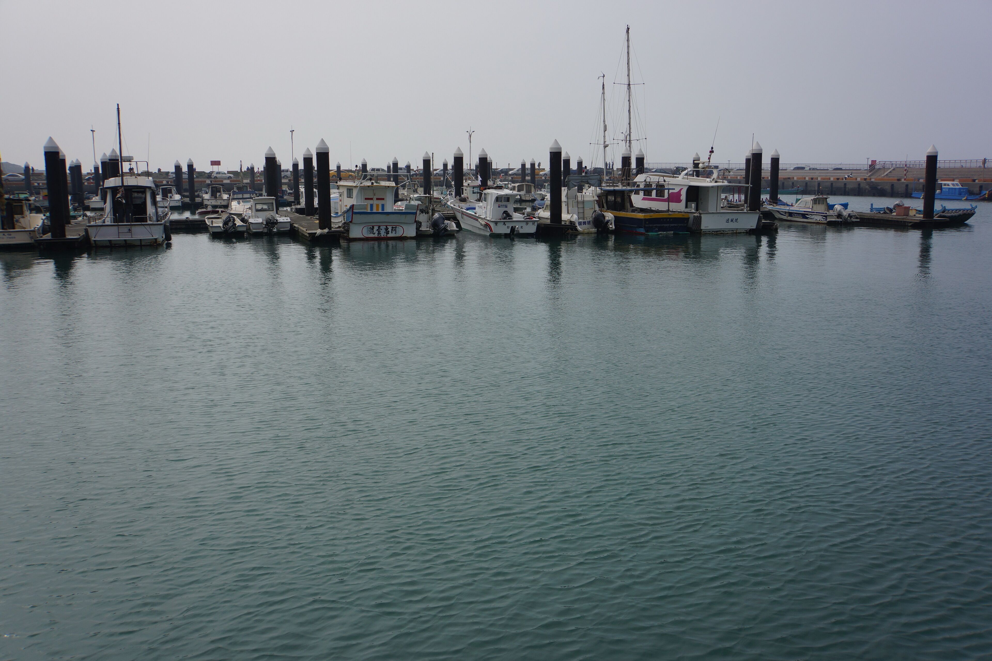 Zhuwei Fishing Port 竹圍漁港