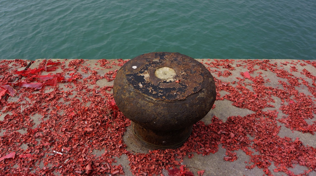 鞭炮渣 Firecarcker Remains