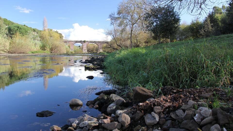 A river with rocks and grass, a bridge in the background, and trees.