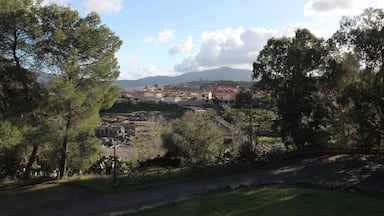 Fordongianus - Terme romane