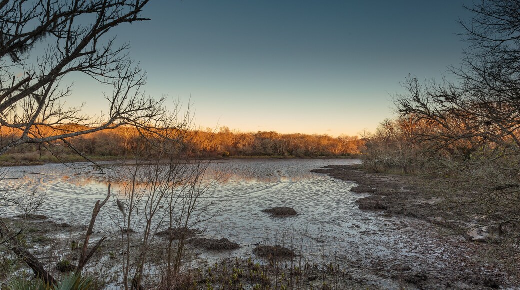 Beautiful swamp: Clear Creek at sunset seen from the boardwalk at Challenger Seven Memorial Park, League City TX