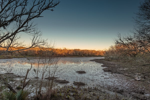 Beautiful swamp: Clear Creek at sunset seen from the boardwalk at Challenger Seven Memorial Park, League City TX
