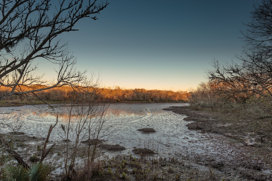 Beautiful swamp: Clear Creek at sunset seen from the boardwalk at Challenger Seven Memorial Park, League City TX