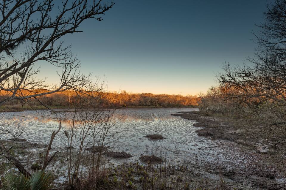 A riverbank with sparse vegetation and a clear sky.