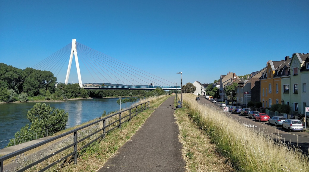 Hochwasserschutzdeich Neuwied, Raiffeisenbrücke
