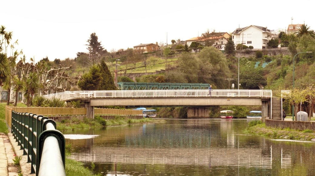 Ponte peatonal do paseo do Malecón