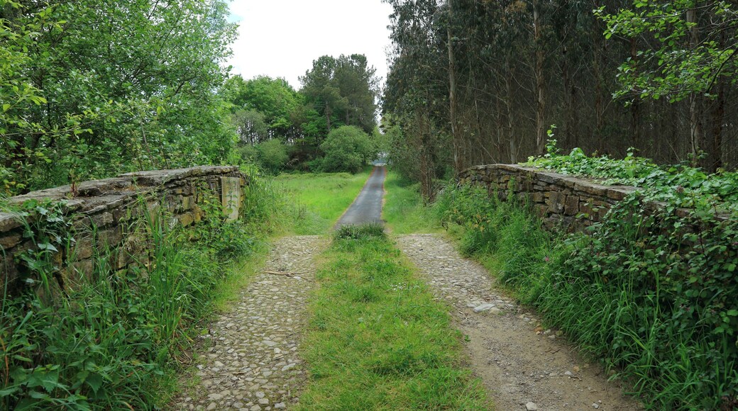 Ponte de Beldoña, que dá o paso de Beldoña (Mabegondo) a Guiliade (Piadela, Betanzos).