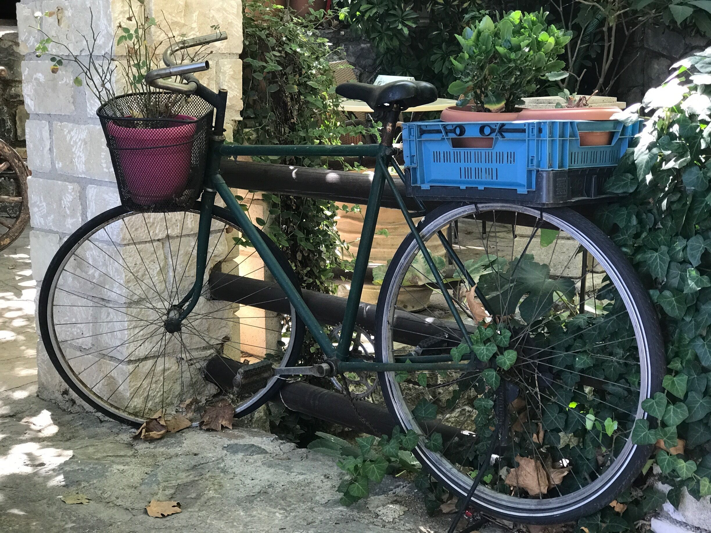 Argyroupoli is known for the famous springs.
The locals have taken advantage of the springs, respecting the surroundings and nature- by creating wonderful tavernas for visitors.