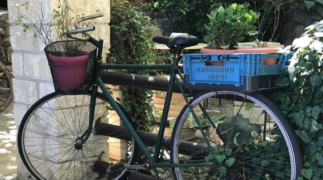 Argyroupoli is known for the famous springs.
The locals have taken advantage of the springs, respecting the surroundings and nature- by creating wonderful tavernas for visitors.