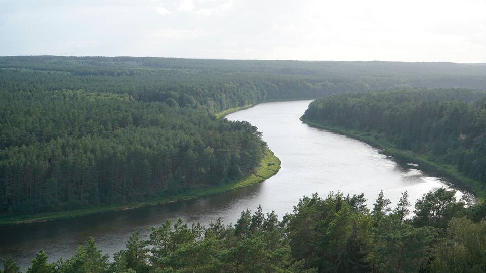A river winding through a dense forest.