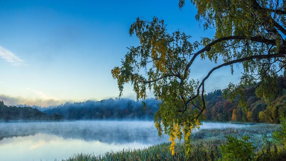 A calm lake with mist, surrounded by trees and hills.