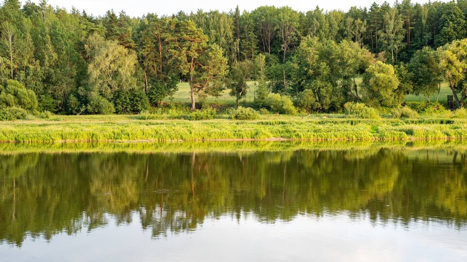 A calm lake reflecting trees and a grassy field.