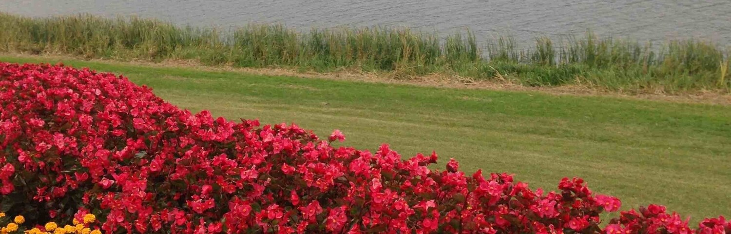 A beautiful spa town, right on the river. Three spa hotels in Birstonas
#lifeatexpedia