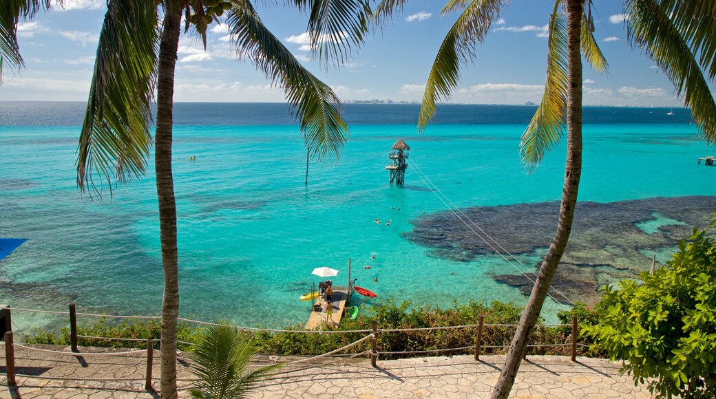 Garrafon Natural Reef Park featuring tropical scenes and general coastal views