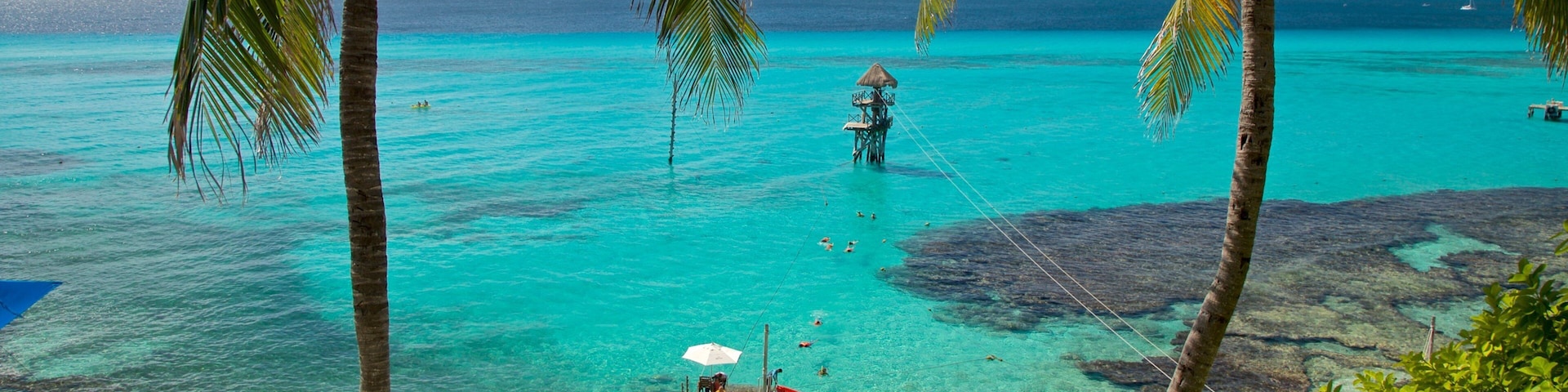 Garrafon 自然礁石公園 设有 綜覽海岸風景 和 熱帶風景