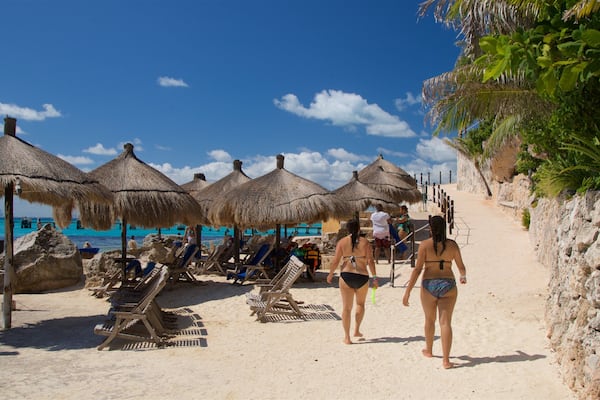 Isla Mujeres mettant en vedette scènes tropicales, plage de sable et vues littorales