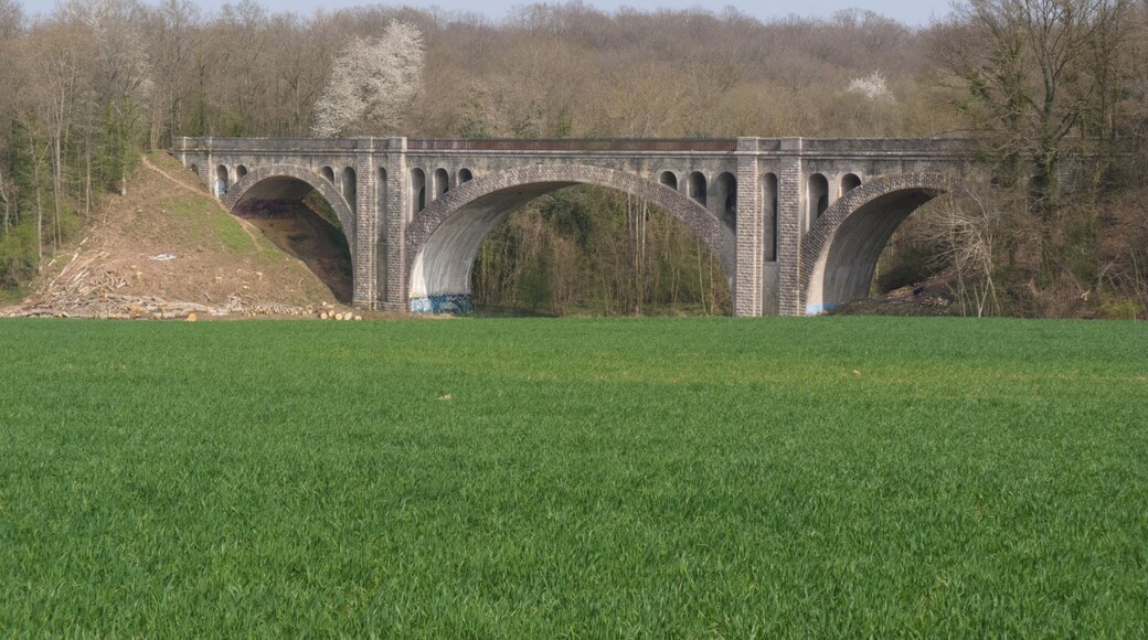 Viaduc sur l'Yerres de l'ancienne ligne de Paris-Bastille à Marles-en-Brie.