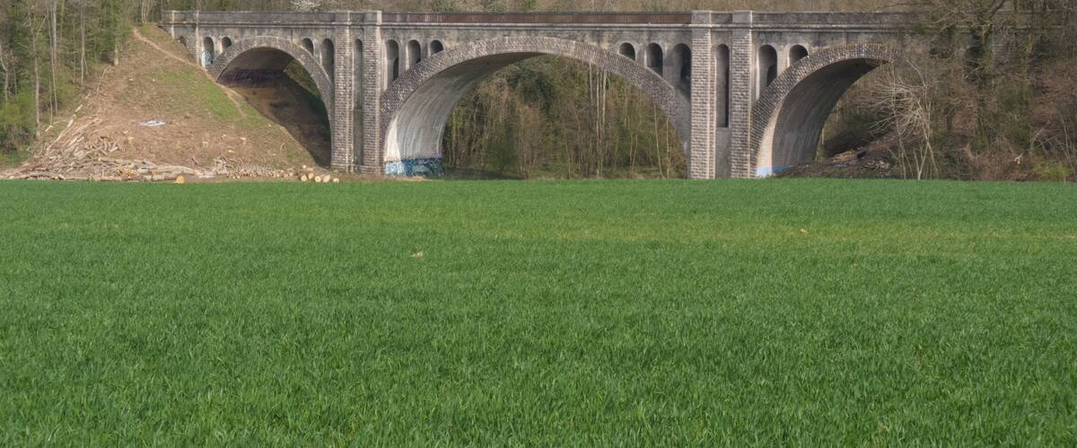 A stone bridge with multiple arches over a grassy field.