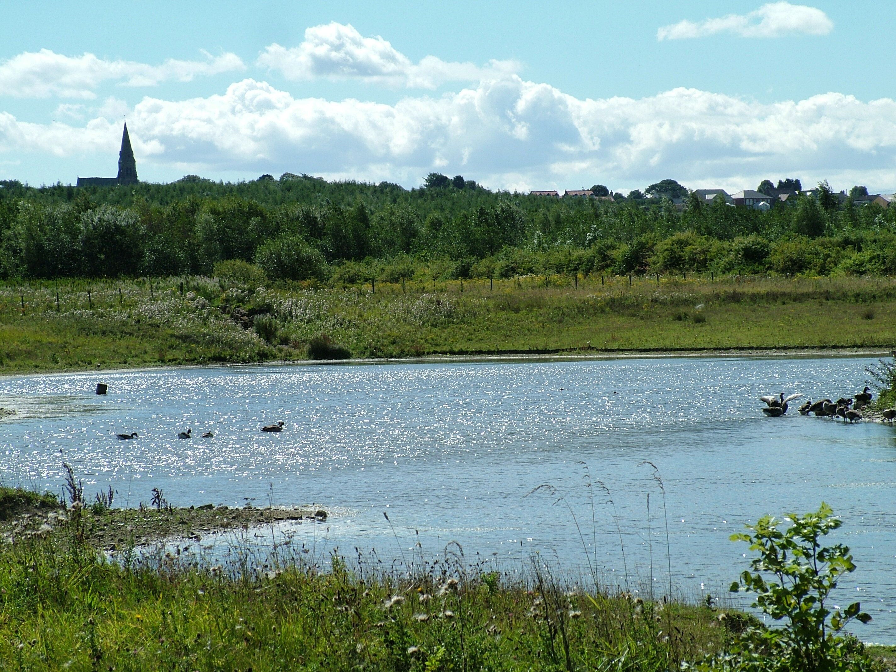 View from a bird hide of one of the ponds at Rainton Meadows Nature Reserve, County Durham. The church spire in the distance is St Mary's, West Rainton.