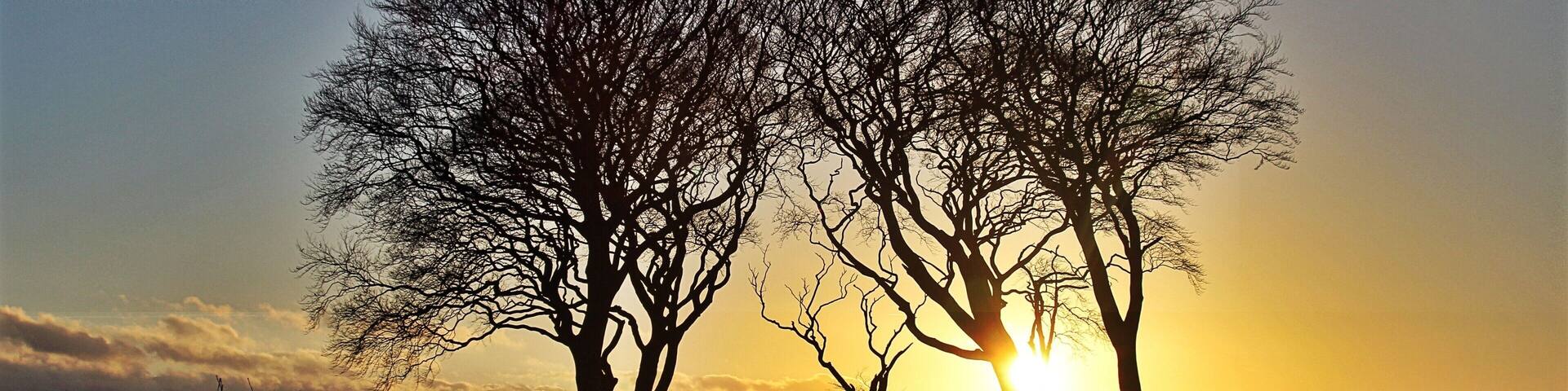 Seven Sisters, Copt Hill, Houghton le Spring, Durham