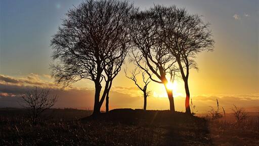 Seven Sisters, Copt Hill, Houghton le Spring, Durham
